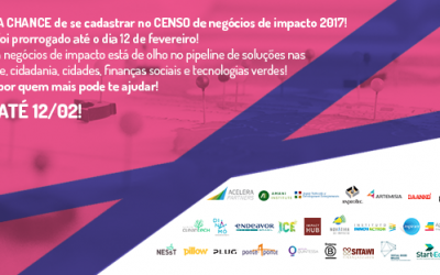 1º CENSO DE NEGÓCIOS DE IMPACTO SOCIOAMBIENTAL DO BRASIL